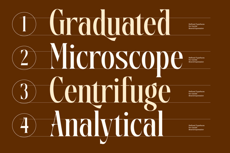 Preview of Disriete Font