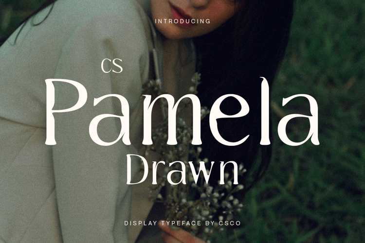 Preview of CS Pamela Drawn Font