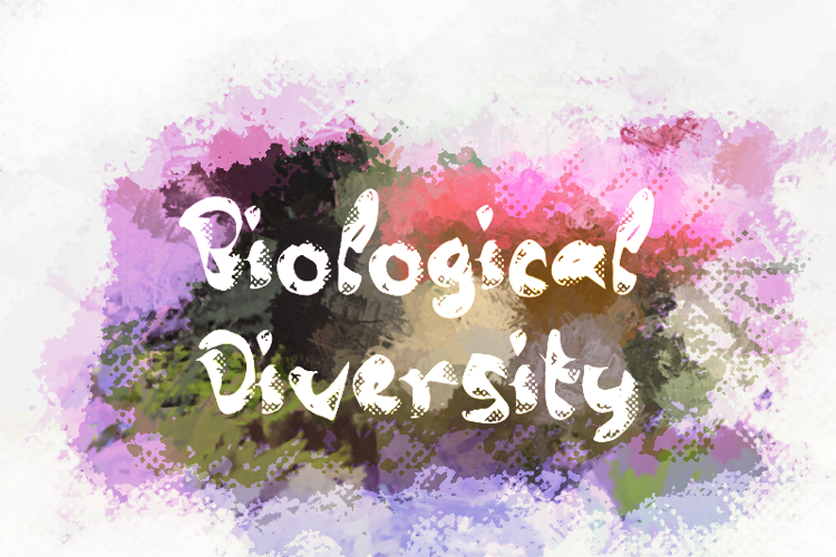 b Biological Diversity Font