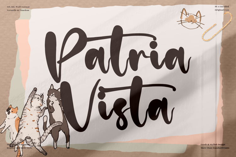 Patria Vista Font