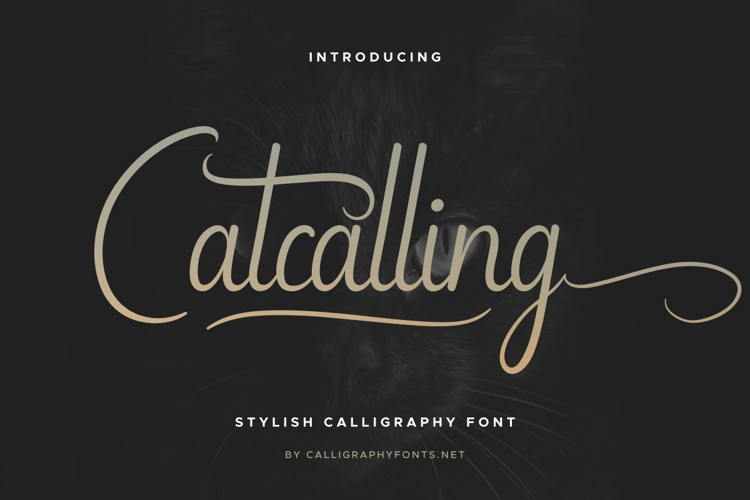 Catcalling Font