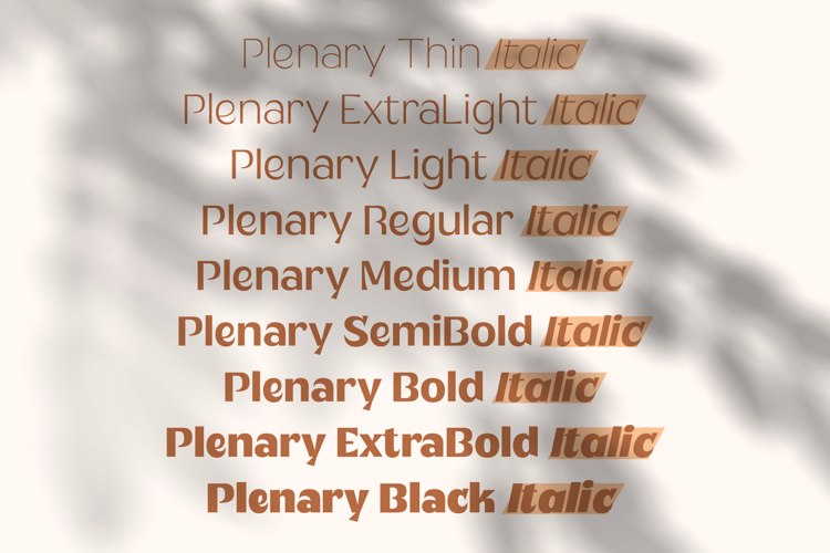 Plenary Font