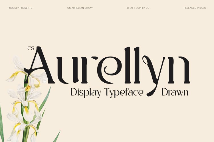 Preview of CS Aurellyn Drawn Font