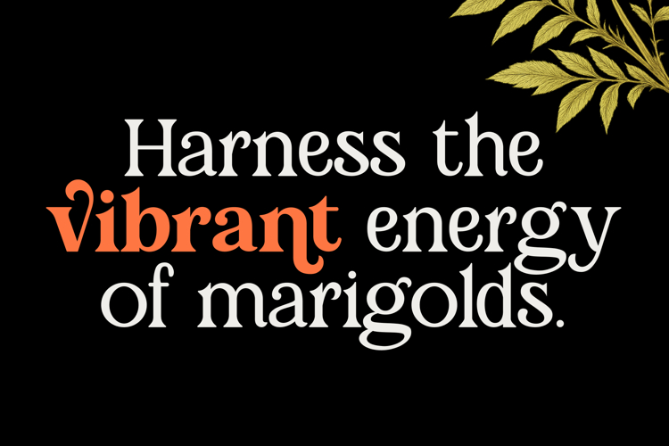 Marigold Magic Font