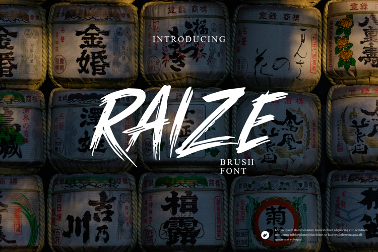Preview of RAIZE Font