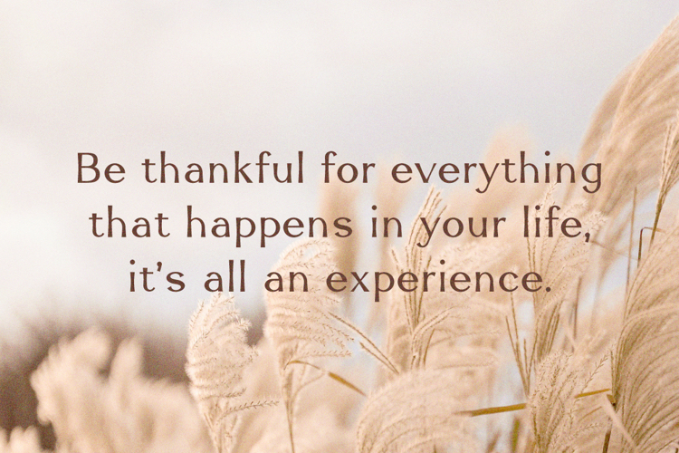 Preview of Velyra Font