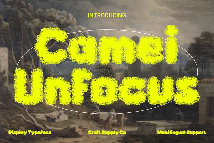 Camei Unfocus Font