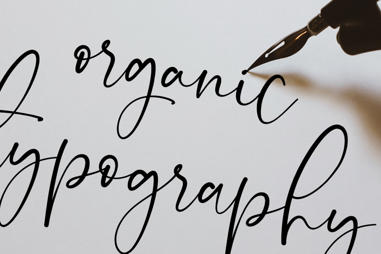 Onesty Signature Font
