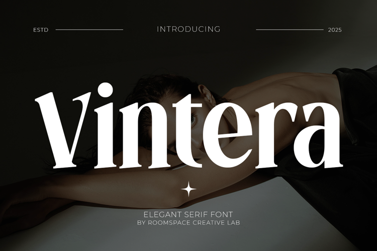 Preview of Vintera Font