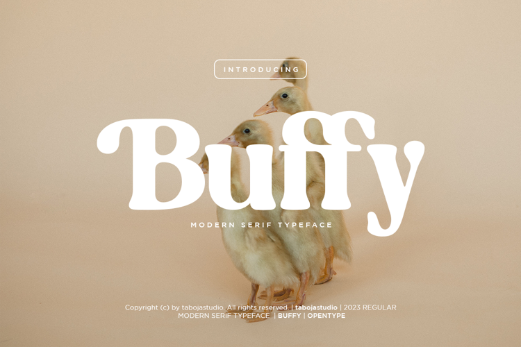 Preview of TBJ Buffy Retro Font