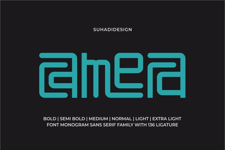 Camera Bold Font