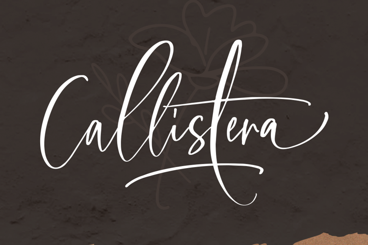 Callistera Script Font