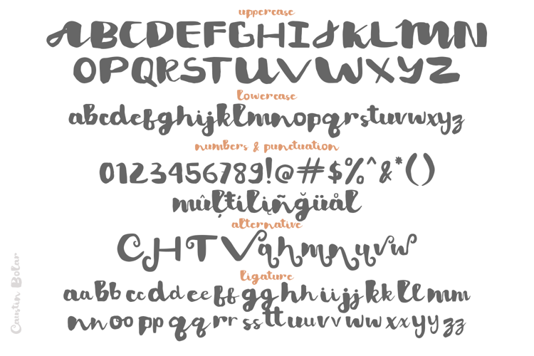 Sudsier Font