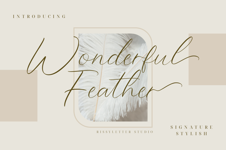 Wonderful Feather Font