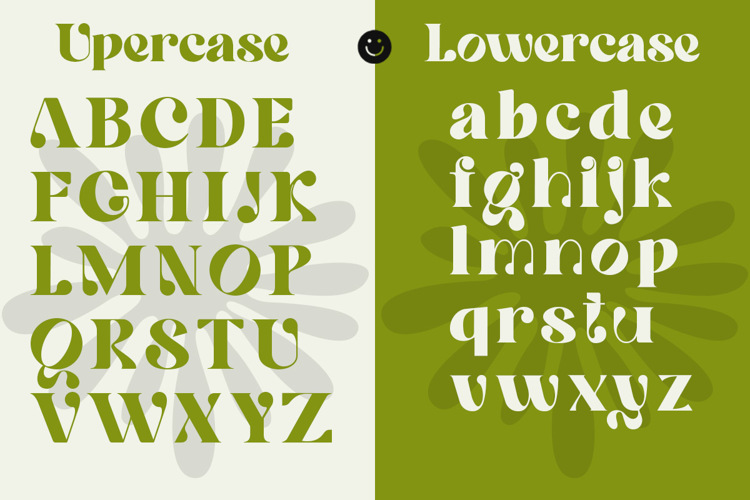 Preview of Quowist Display Font
