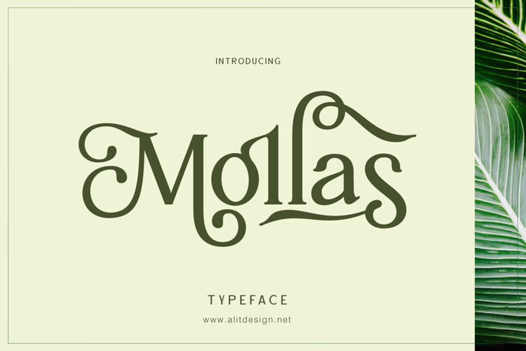 Mollas Font