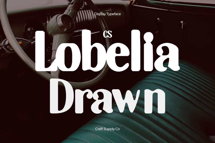 Preview of CS Lobelia Drawn Font