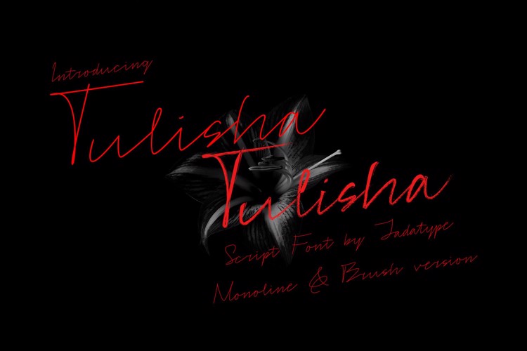 Tulisha Font