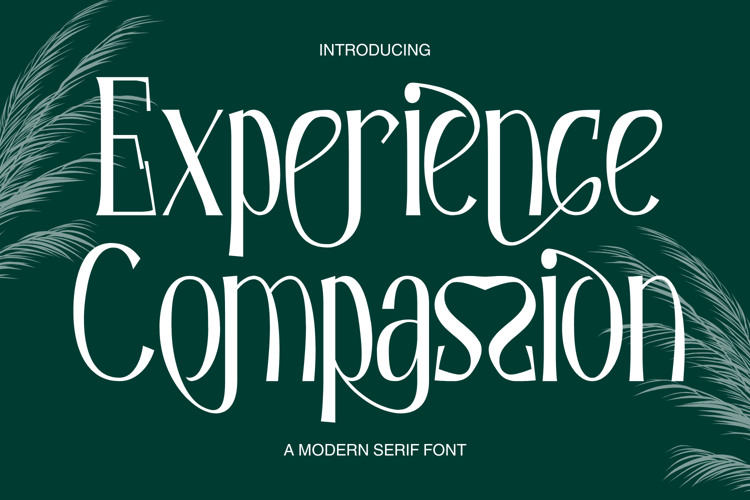 Preview of Experience Compassion Font