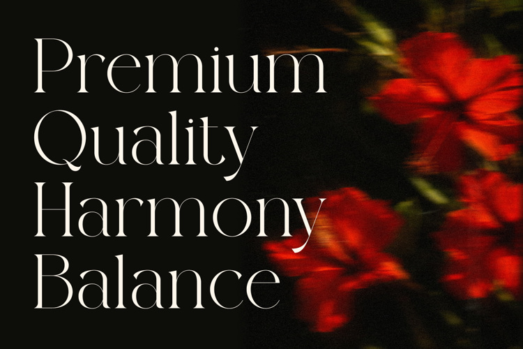 Preview of Rolling Fonte Font
