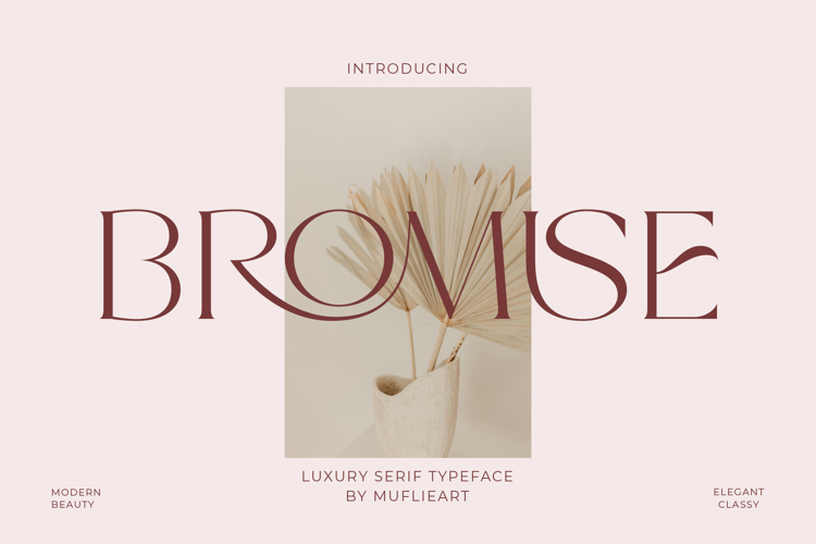 Preview of Bromise Font