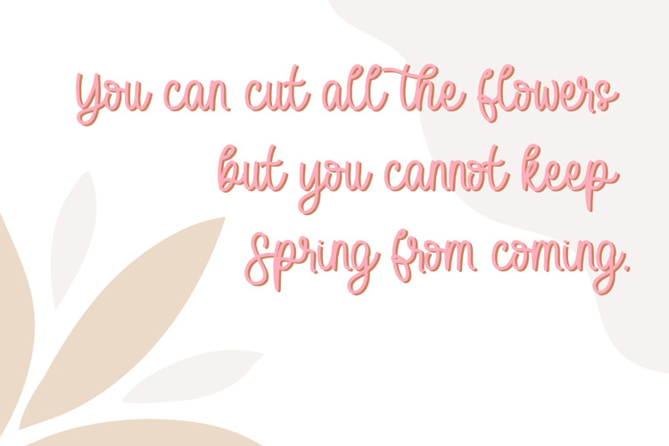 Spring Baby Font