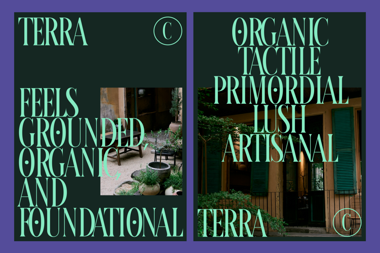 Preview of IT Calixon Font