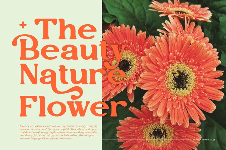 Preview of Vegitto Font