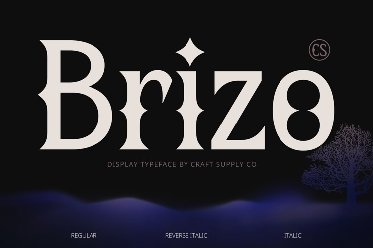 Preview of CS Brizo Font