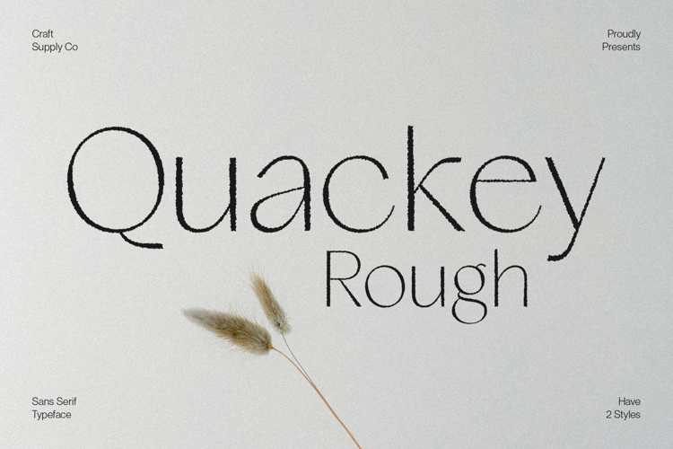 Preview of Quackey Rough Font