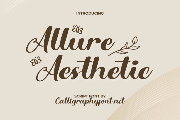 Allure Aesthetic Font