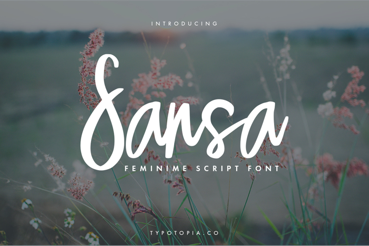 Sansa Font