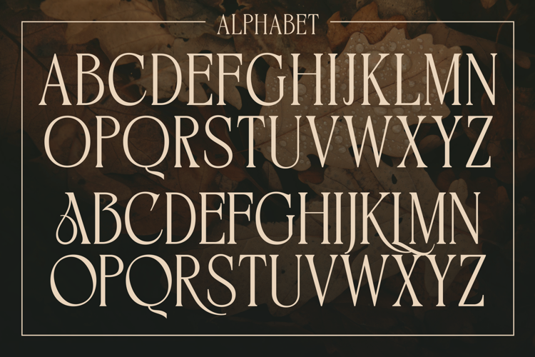 BIKAVE Font