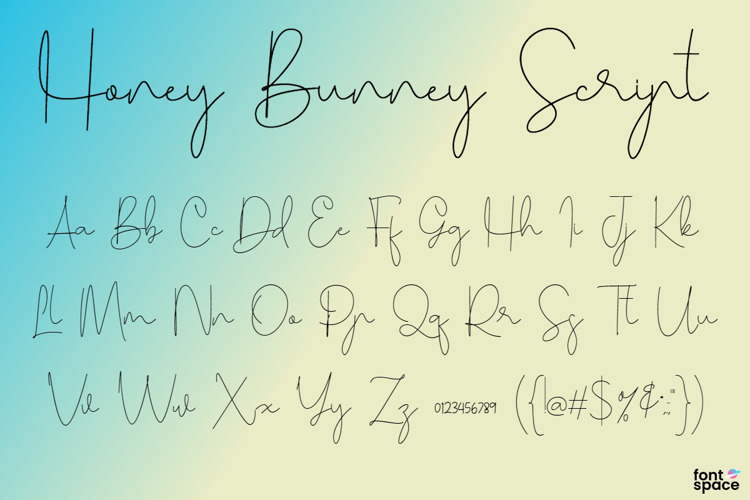 Honey Bunney Script Font