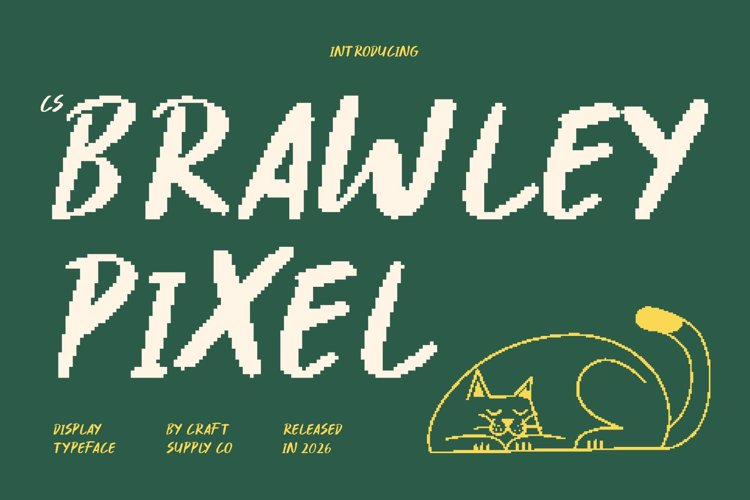 Preview of CS Brawley Pixel Font