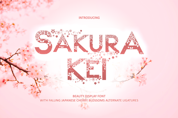 Sakura Kei Font