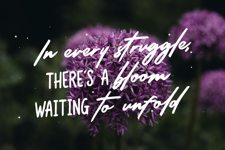 Preview of Radiant Brush Font