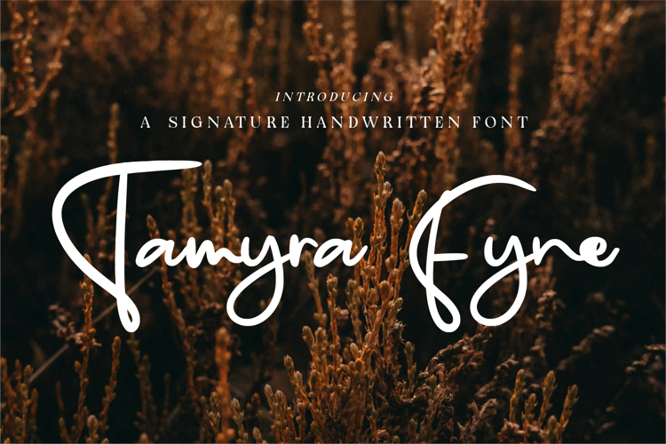 Preview of CF Tamyra Fyne Font