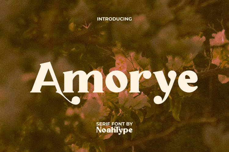 Preview of Amorye Font