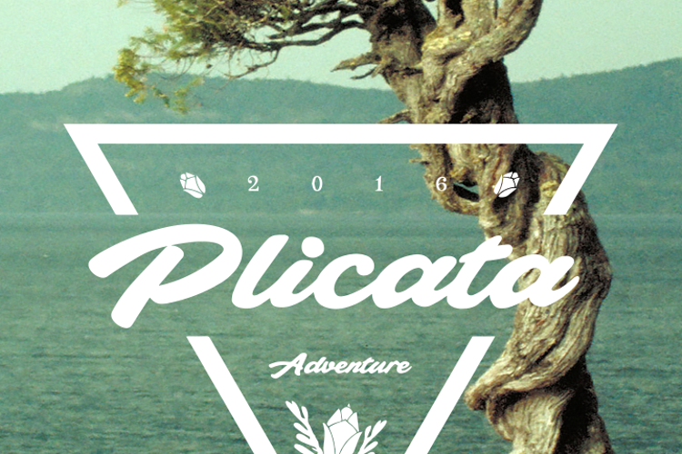 Plicata Font