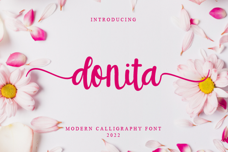 Donita Font