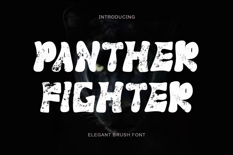 Panther Fighter Font