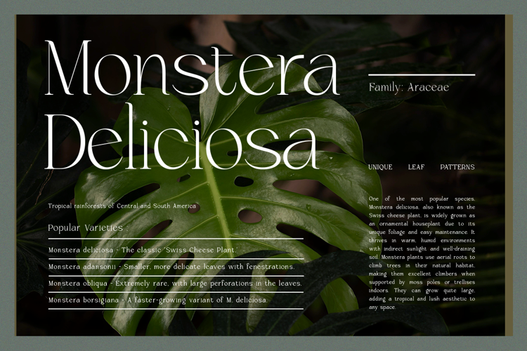 Brikelia Font