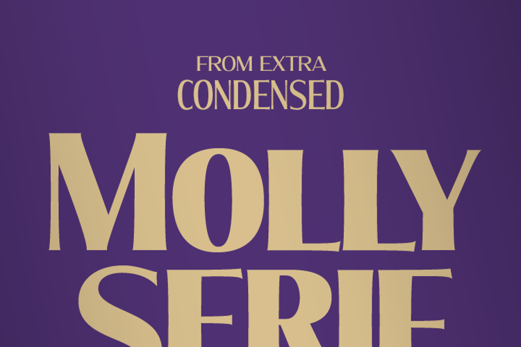 Molly Serif Font