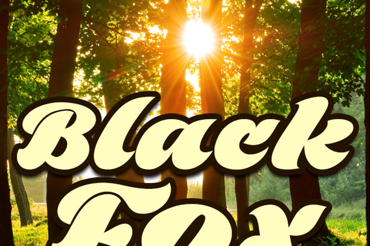 Black Fox Font