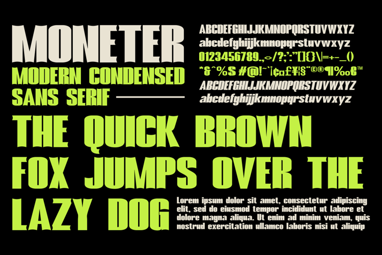 Preview of Moneter Font