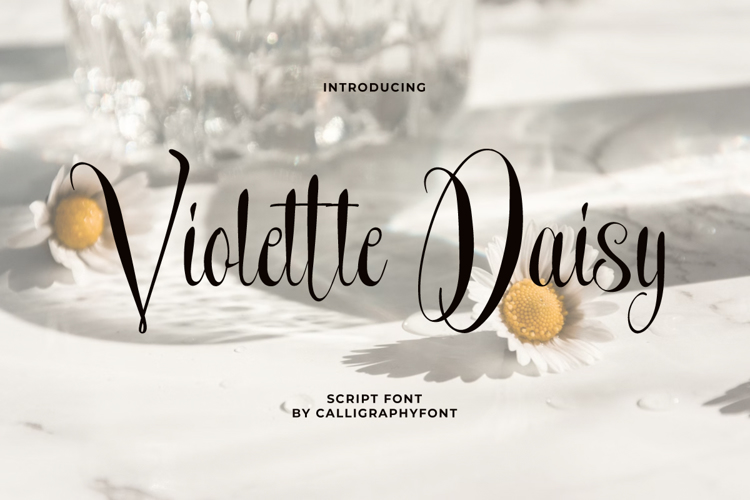 Violette Daisy Font