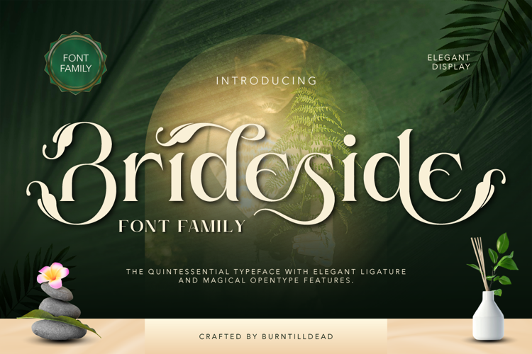 Preview of Brideside Font
