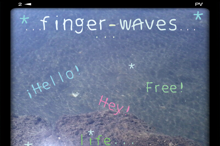 finger waves Font