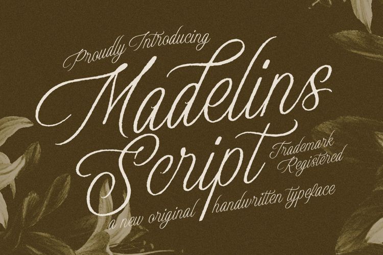 Preview of Madelins Font